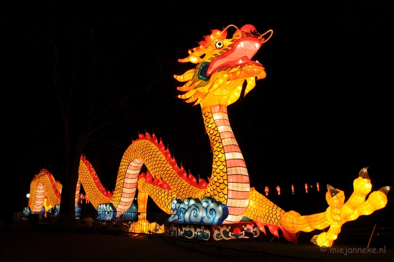 DSC_7400.JPG - China festival of Lights