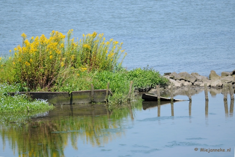 DSC_6896a.JPG - Een weerspiegeling bij een inham.