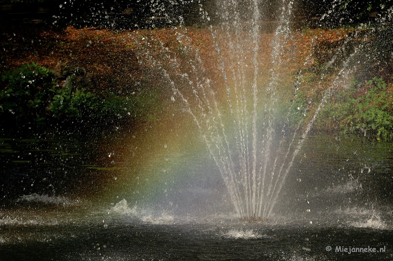 DSC_4997a.JPG - De regenboog in de fontein