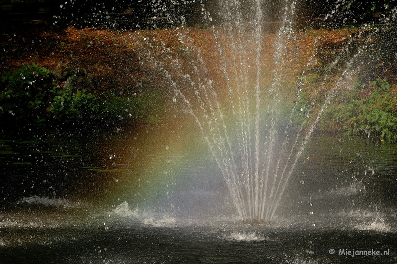 DSC_4997a.JPG - De regenboog in de fontein