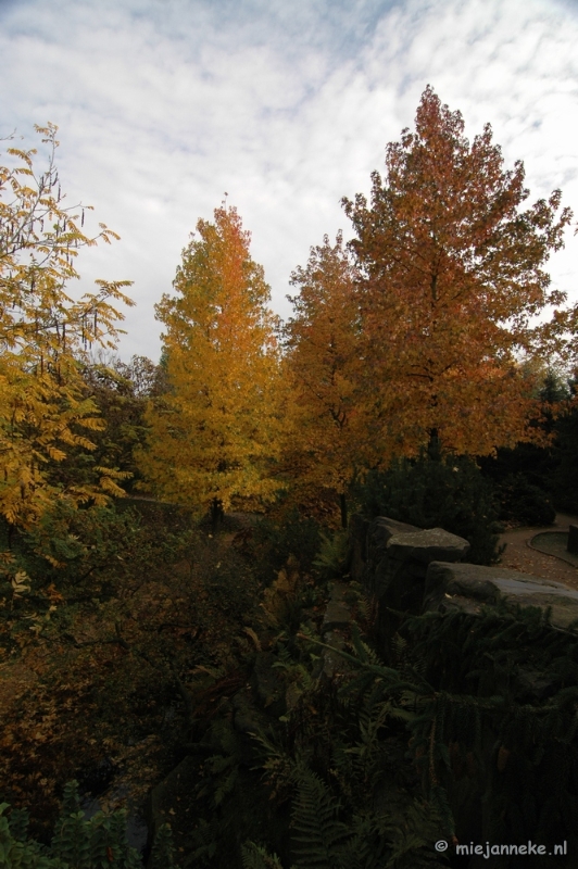 DSC_6563.JPG - Herfst in Arcen 2