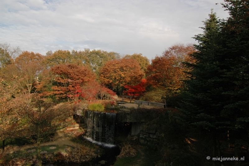 DSC_6594.JPG - Herfst in Arcen 2