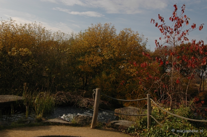 DSC_6601.JPG - Herfst in Arcen 2