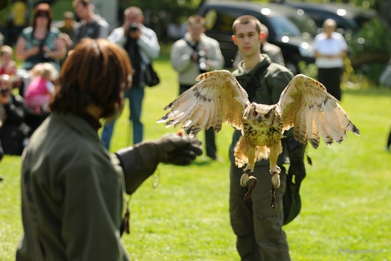 DSC_8780a.JPG - Zoomdag 9 mei Falcon Crest