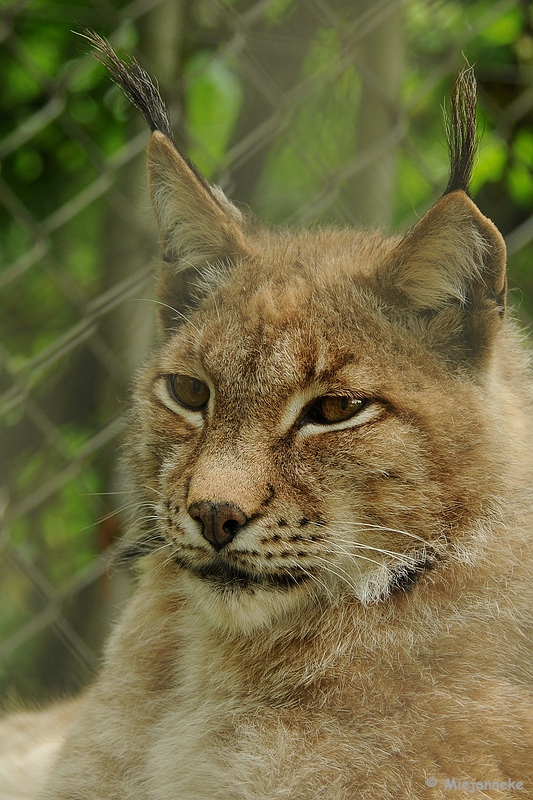 DSC_0064a.JPG - Best Zoo