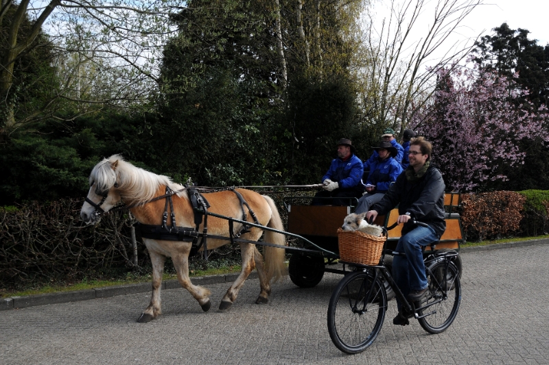 DSC_0801.jpg - Op weg naar Hamont-Achel