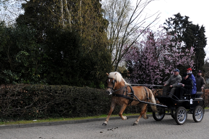 DSC_0849.jpg - Op weg naar Hamont-Achel