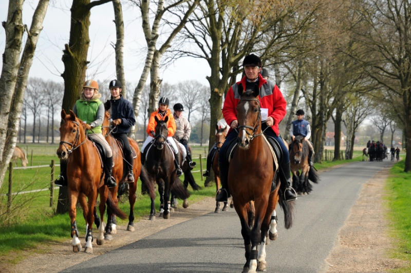 DSC_0996.jpg - Op de Asbroek weg voor een appeltje