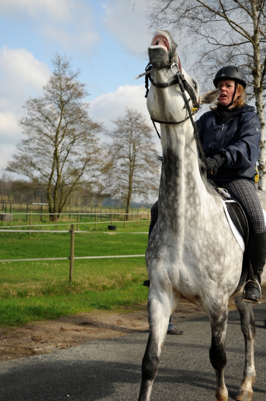 DSC_1036.jpg - Halleluja, ik mag op de foto....