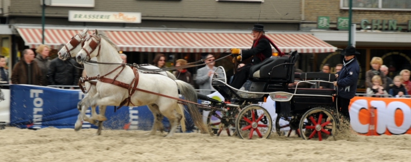 DSC_1264.jpg - Capucijnerplein demonstratie Spaanse paarden.