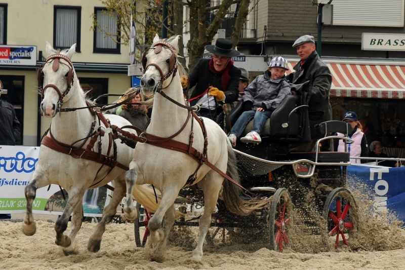 DSC_1402.jpg - Capucijnerplein demonstratie Spaanse paarden.