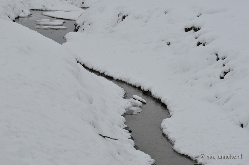 _DSC2759.JPG - Winter in Dierenrijk Nuenen