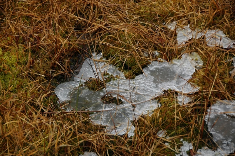 DSC_0187.JPG - De grote Peel Ospel