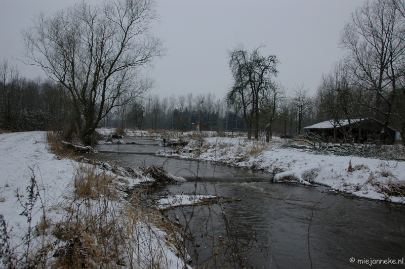 luysenfebr2010  016.JPG - De Luysen