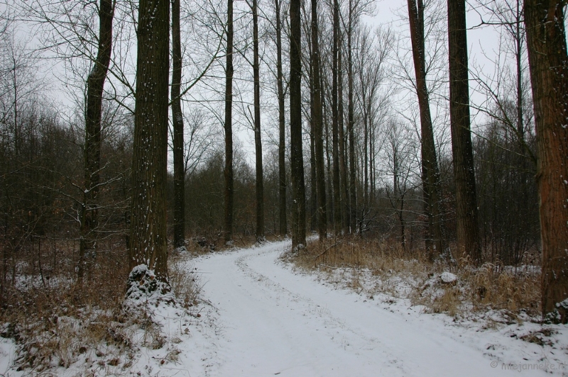 luysenfebr2010  052.JPG - De Luysen