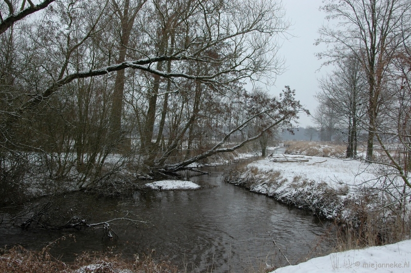 luysenfebr2010  142.JPG - De Luysen