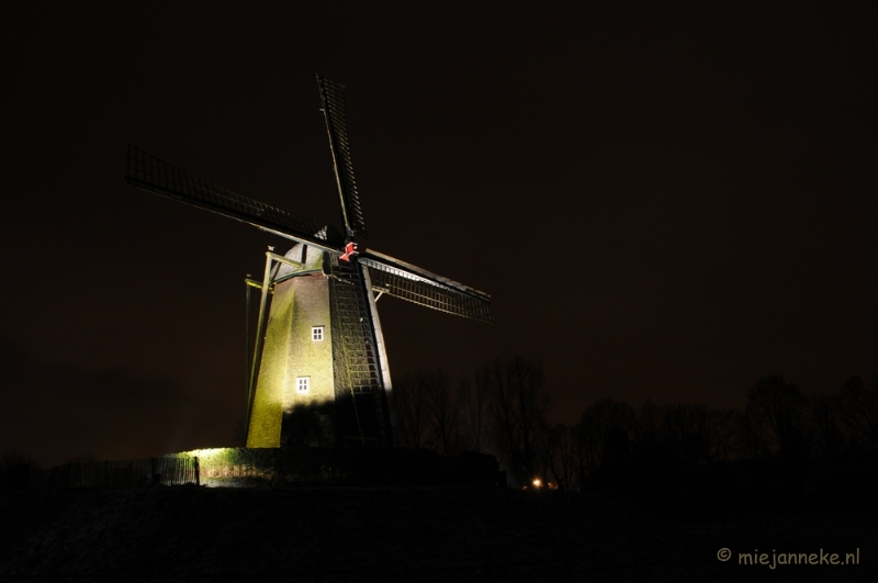 DSC_7876.JPG - Bokrijk by Night 2010