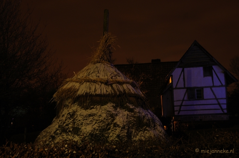 DSC_7911.JPG - Bokrijk by Night 2010