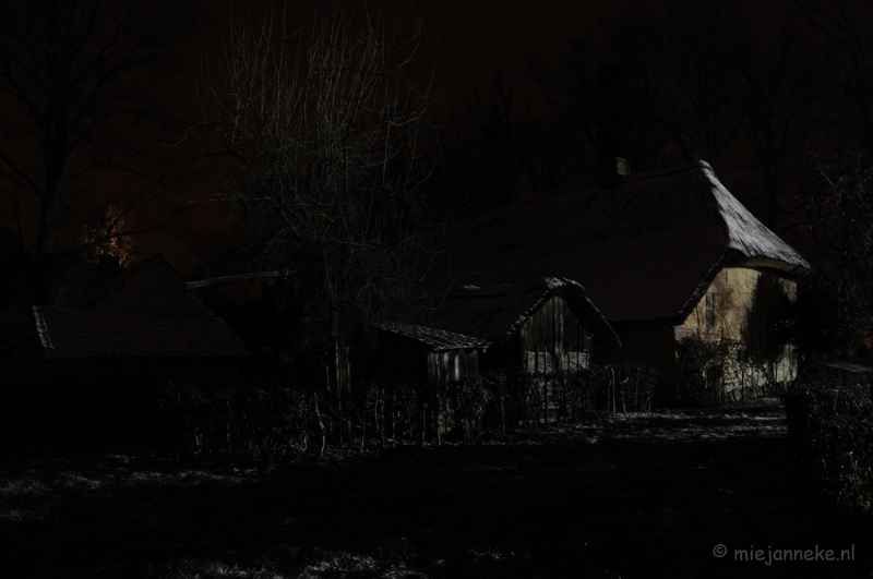 DSC_7945b.JPG - Bokrijk by Night 2010