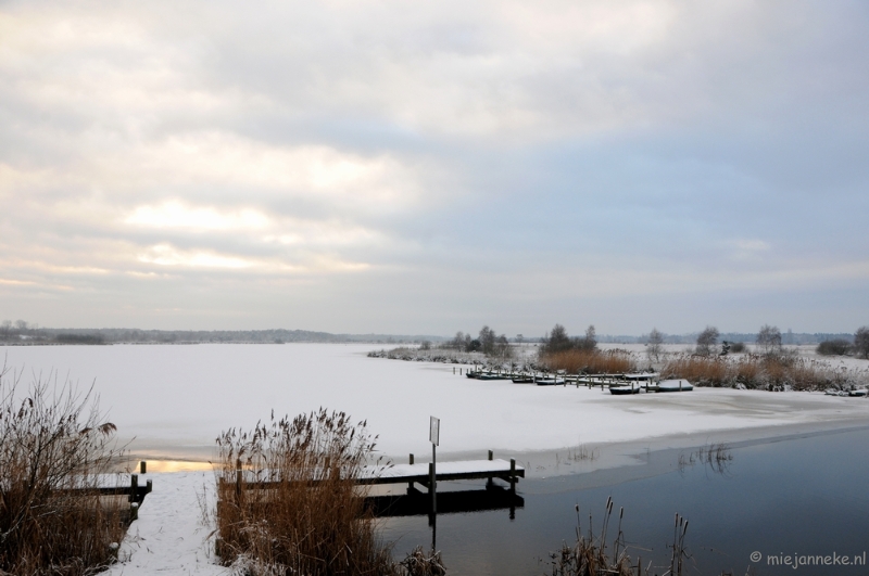 DSC_7989.JPG - Winter Budel-Dorplein