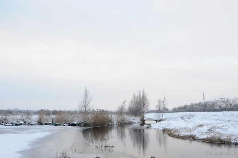 DSC_8003.JPG - Winter Budel-Dorplein