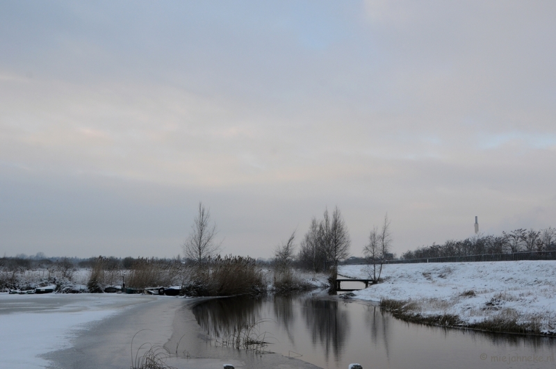 DSC_8005.JPG - Winter Budel-Dorplein