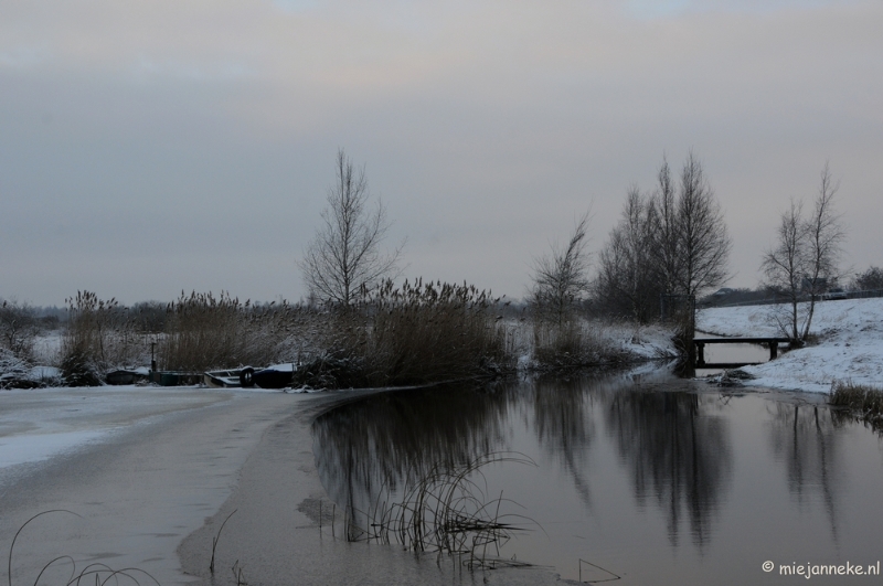 DSC_8011.JPG - Winter Budel-Dorplein