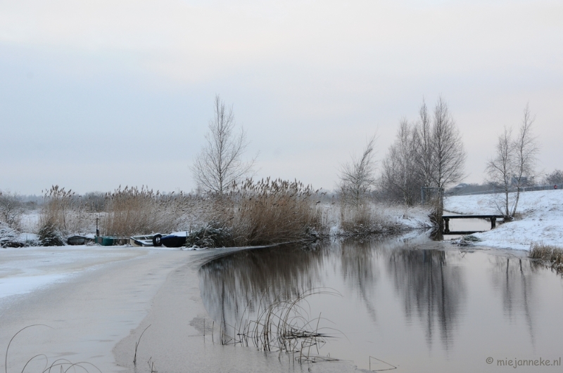 DSC_8015.JPG - Winter Budel-Dorplein