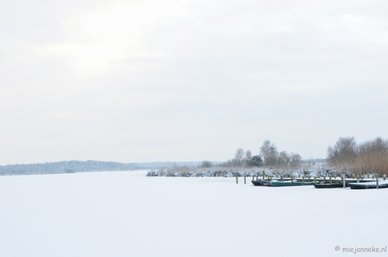 DSC_8019.JPG - Winter Budel-Dorplein