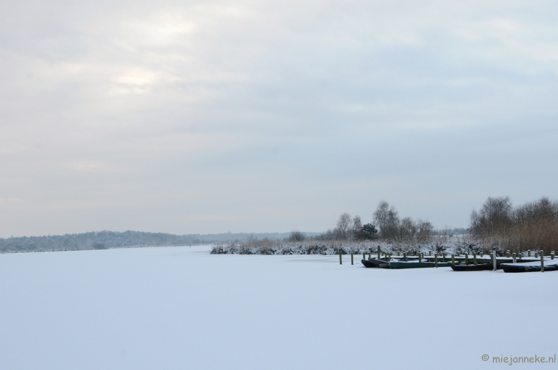 DSC_8021.JPG - Winter Budel-Dorplein