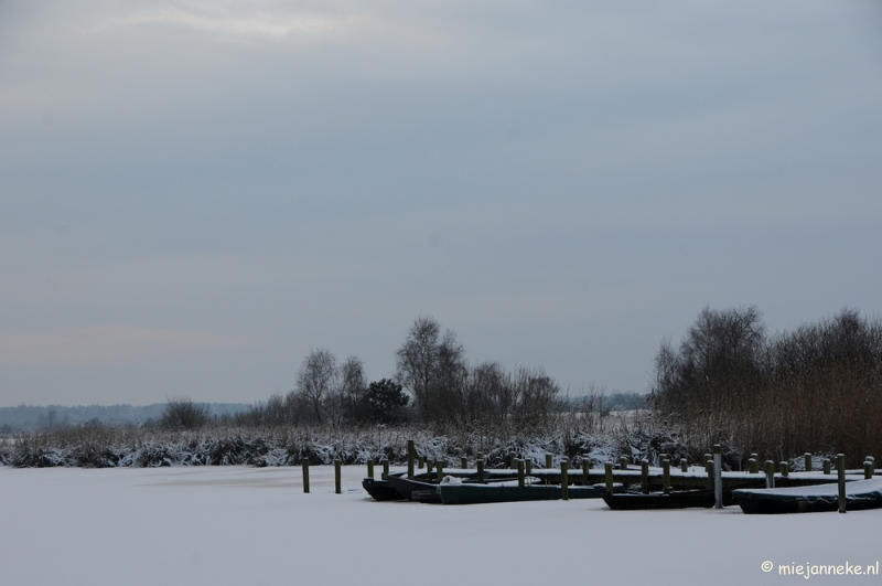 DSC_8045.JPG - Winter Budel-Dorplein