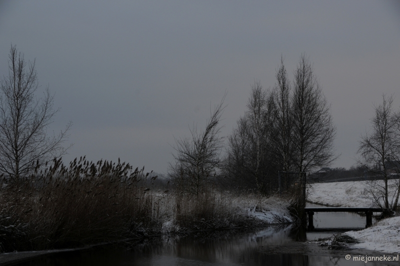 DSC_8053.JPG - Winter Budel-Dorplein