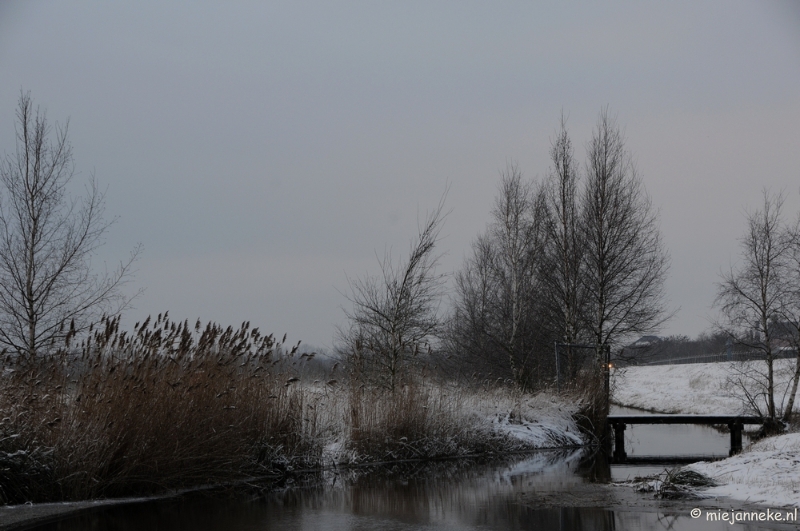 DSC_8055.JPG - Winter Budel-Dorplein