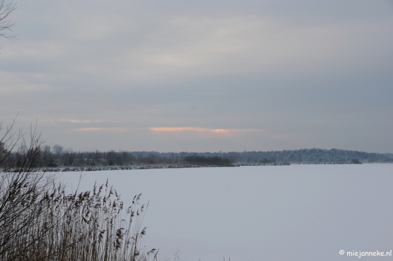 DSC_8099.JPG - Winter Budel-Dorplein