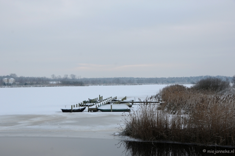 DSC_8143.JPG - Winter Budel-Dorplein