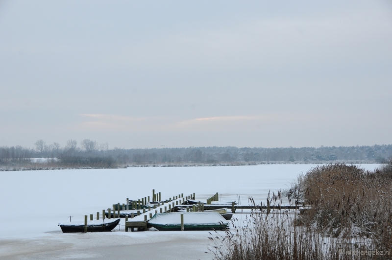 DSC_8149.JPG - Winter Budel-Dorplein