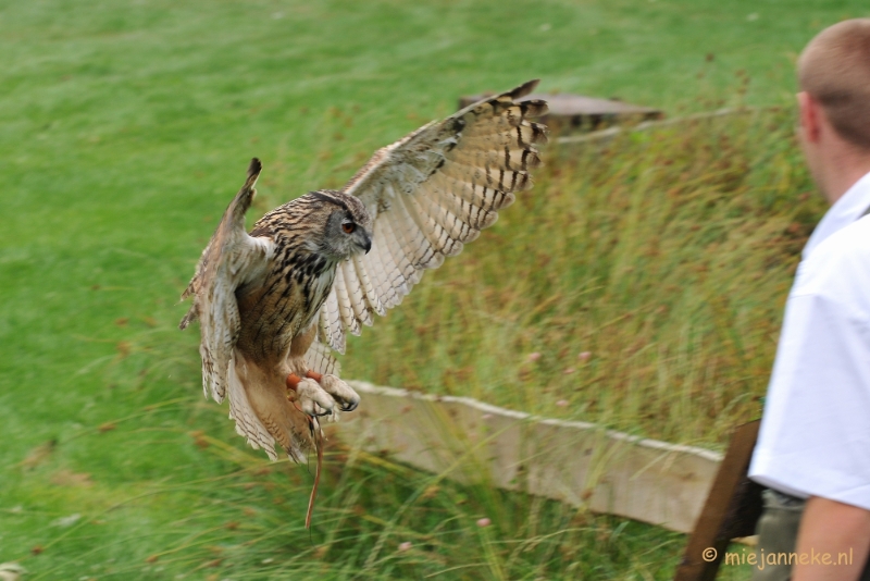 DSC_5372.JPG - Falcon Crest Eindhoven