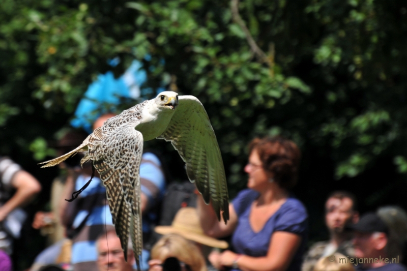 DSC_5528.JPG - Falcon Crest Eindhoven