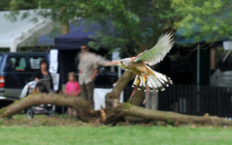 DSC_5644.JPG - Falcon Crest Eindhoven