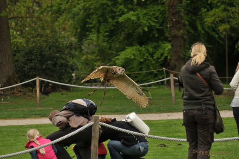 DSC_4241.JPG - Roofvogelshow Arcen