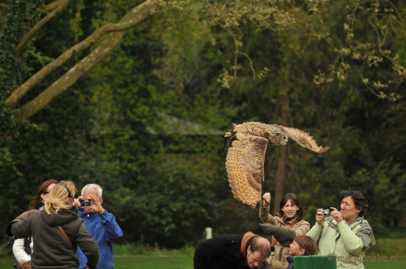 DSC_4306.JPG - Roofvogelshow Arcen