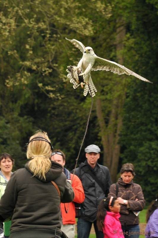 DSC_4491a.JPG - Roofvogelshow Arcen