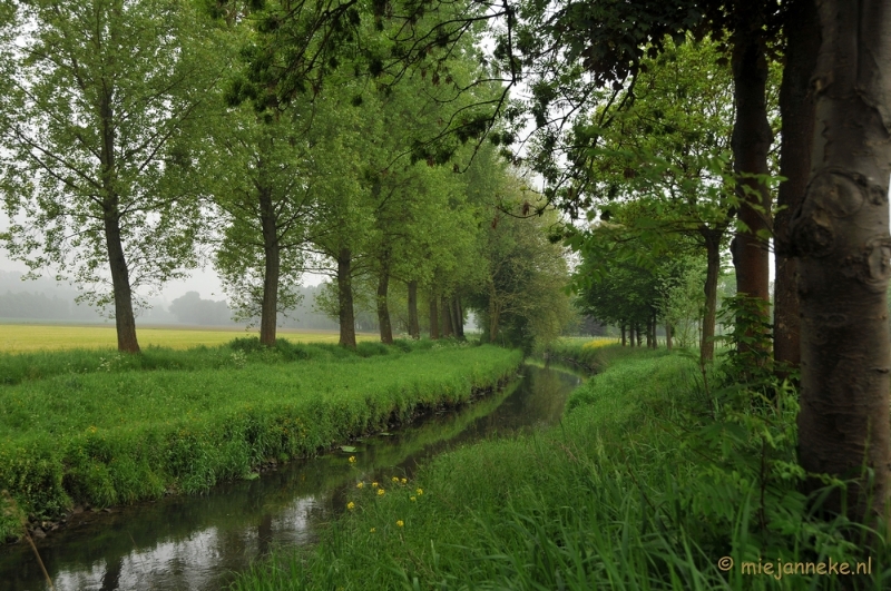 DSC_0372.JPG - Wandelen in Limburg