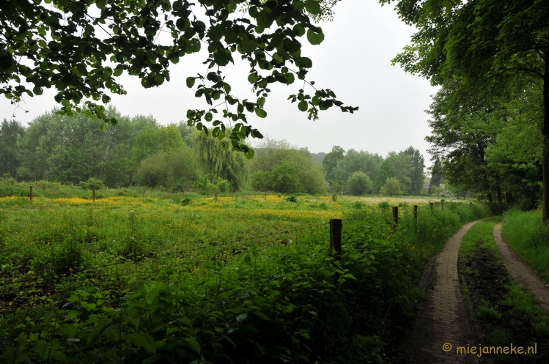 DSC_0401.JPG - Wandelen in Limburg