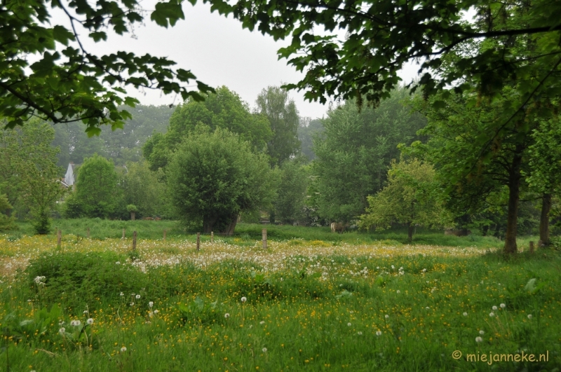 DSC_0406.JPG - Wandelen in Limburg