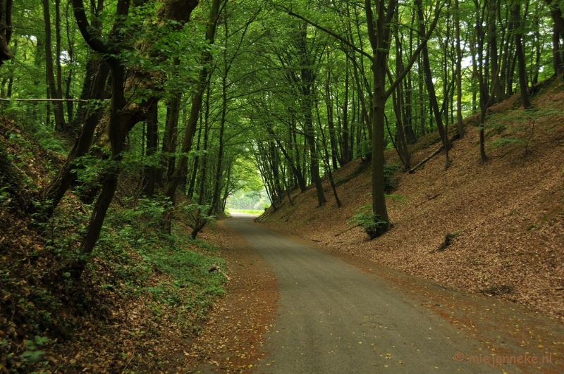 DSC_0465.JPG - Wandelen in Limburg