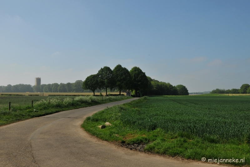 DSC_0487.JPG - Wandelen in Limburg