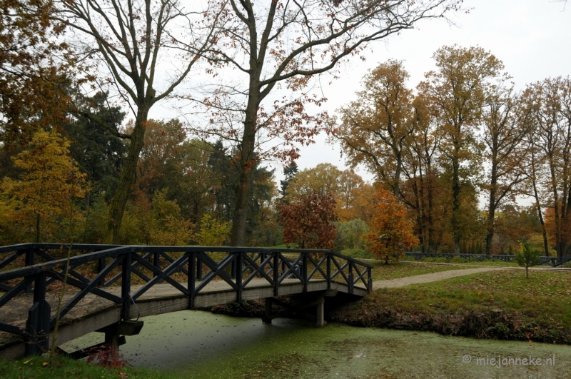 DSC_0864.JPG - Herfst in Arcen