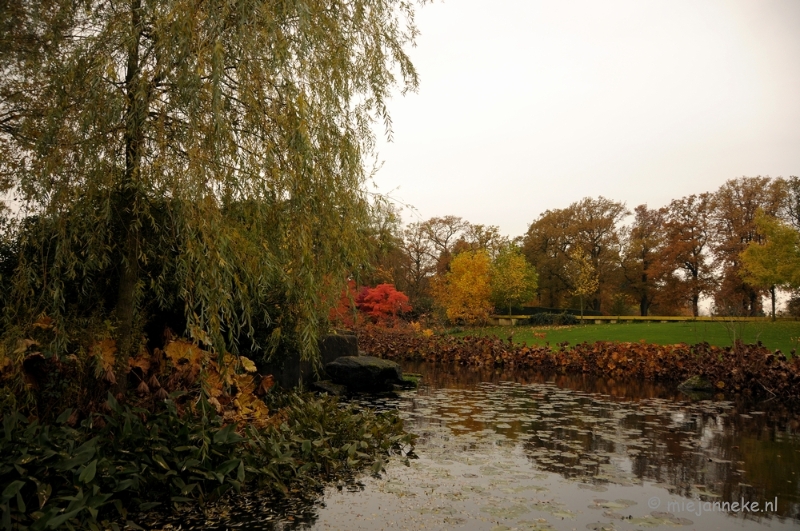 DSC_1157.JPG - Herfst in Arcen