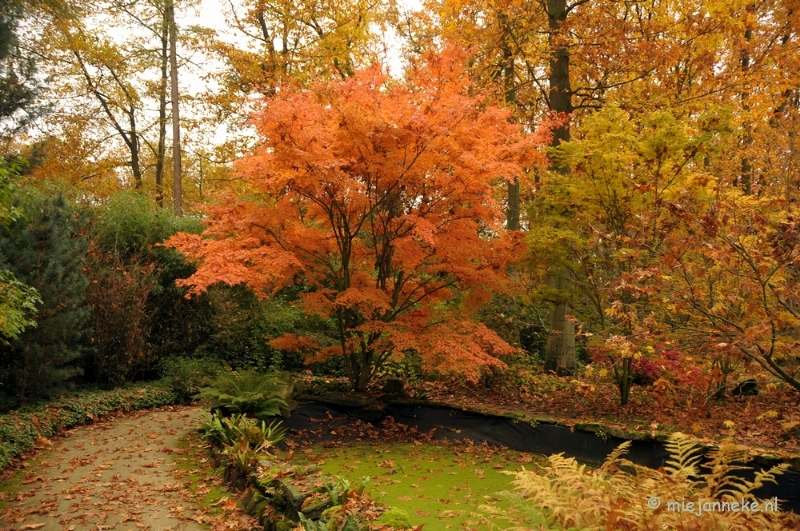 DSC_1168.JPG - Herfst in Arcen